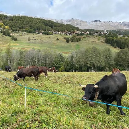 アパート La Montagna Incantata - Panoramico Per 5 Persone シャンポルク